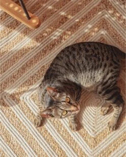 Matto Puuvilla Beige PIRLI Useita Kokoja -MattoMoodi kauppa undef src sa picid 774517 type whitesh image