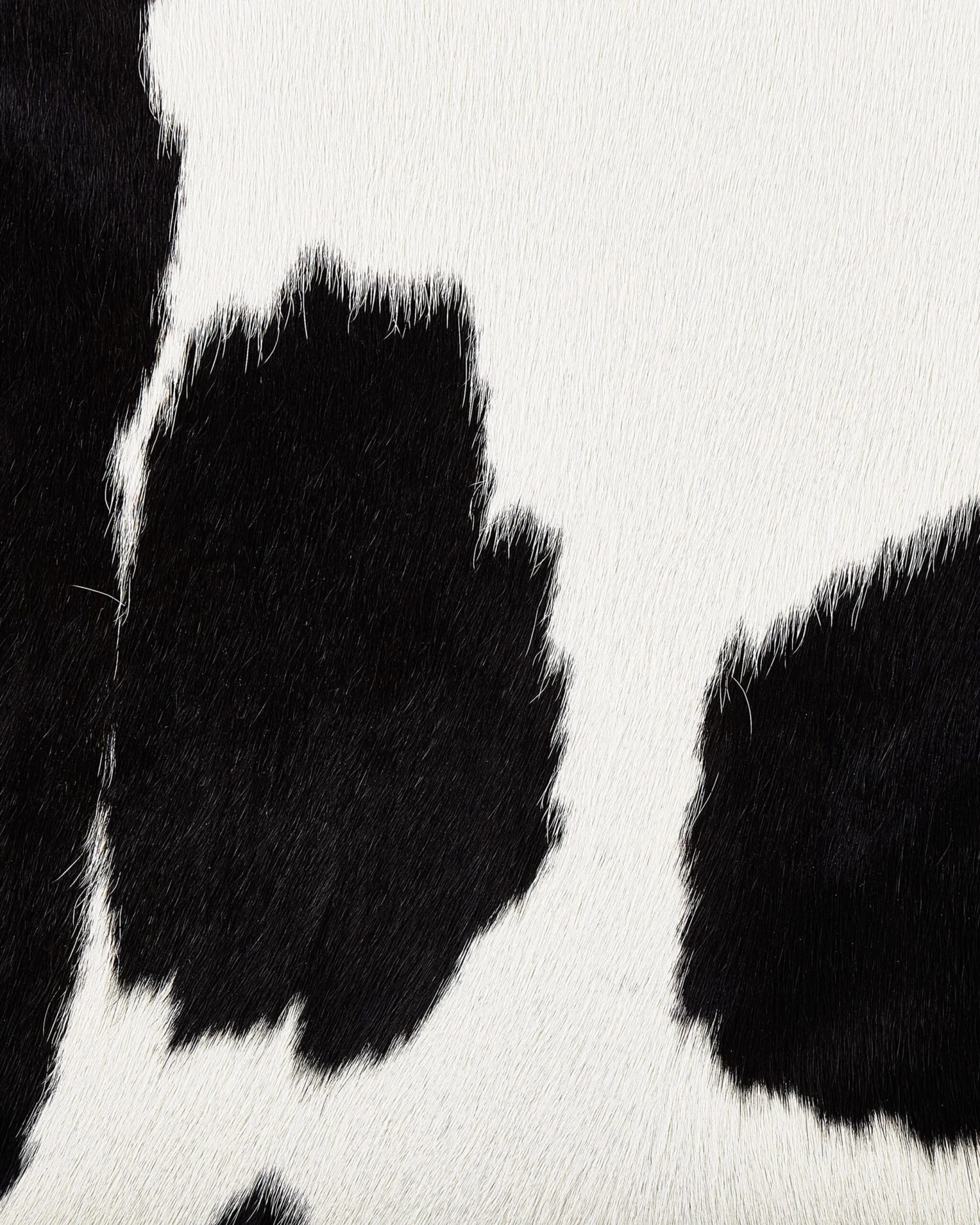 Lehmäntalja Musta/valkoinen NASQU Useita Kokoja 5 Lehmäntalja Musta/valkoinen NASQU Useita Kokoja - Image 3