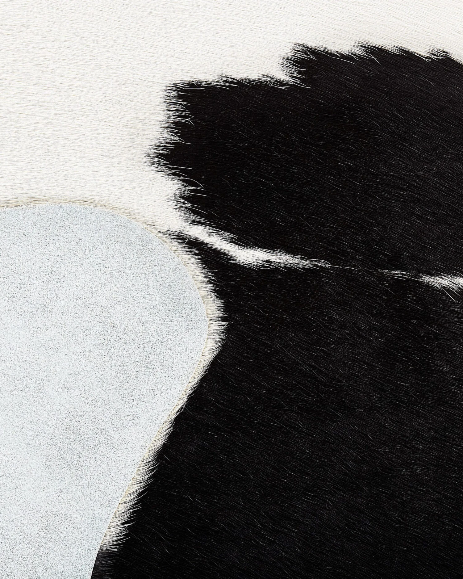 Lehmäntalja Musta/valkoinen NASQU Useita Kokoja 6 Lehmäntalja Musta/valkoinen NASQU Useita Kokoja - Image 4