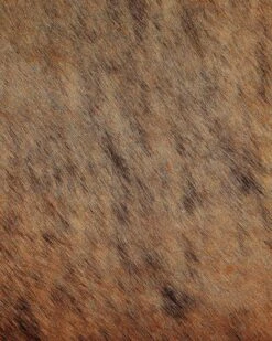 Lehmäntalja Vaaleanruskea NASQU Useita Kokoja -MattoMoodi kauppa undef src sa picid 815837 type whitesh image