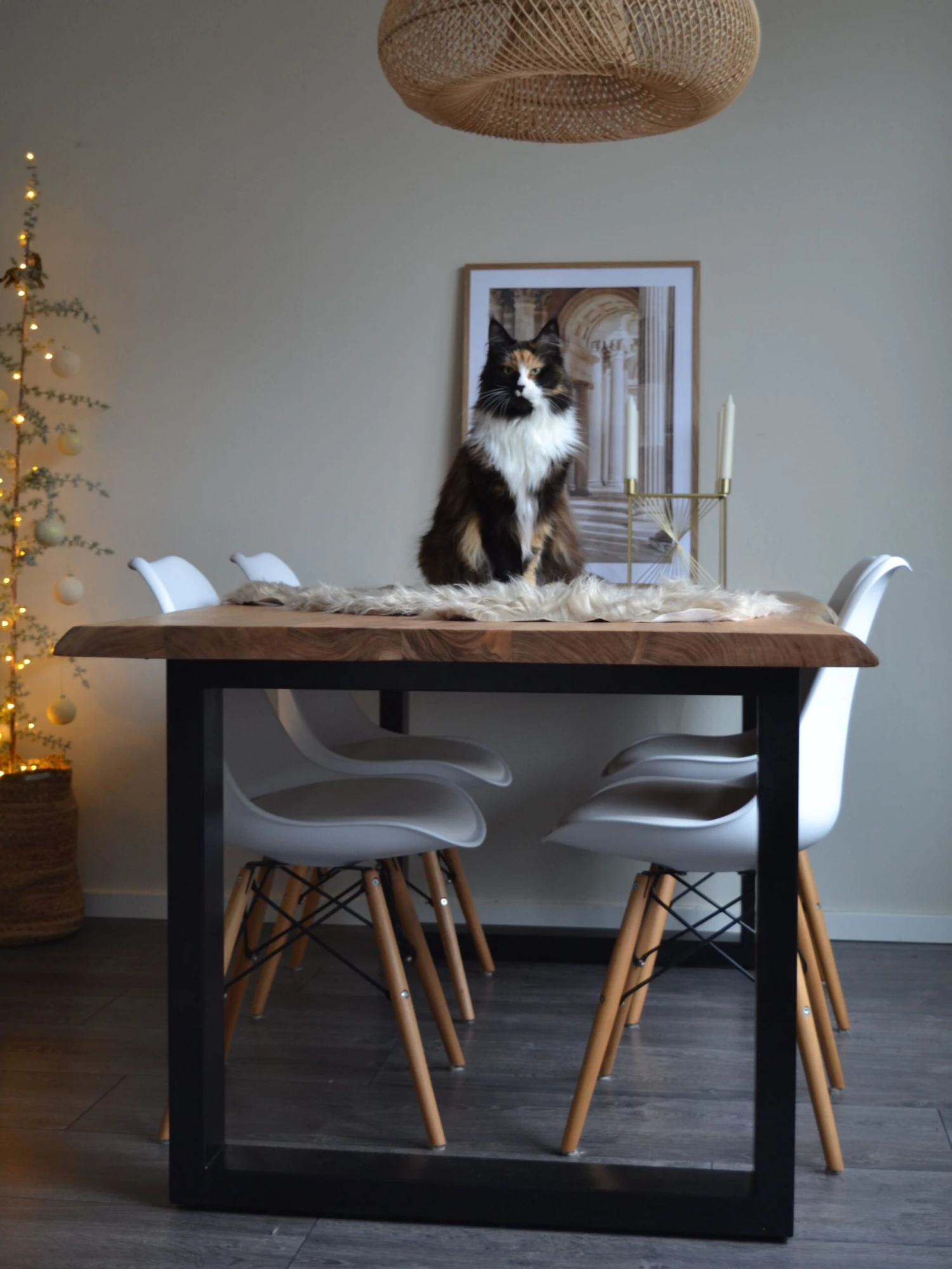 Tekotalja Beige MUNGO 8 Tekotalja Beige MUNGO - Image 6