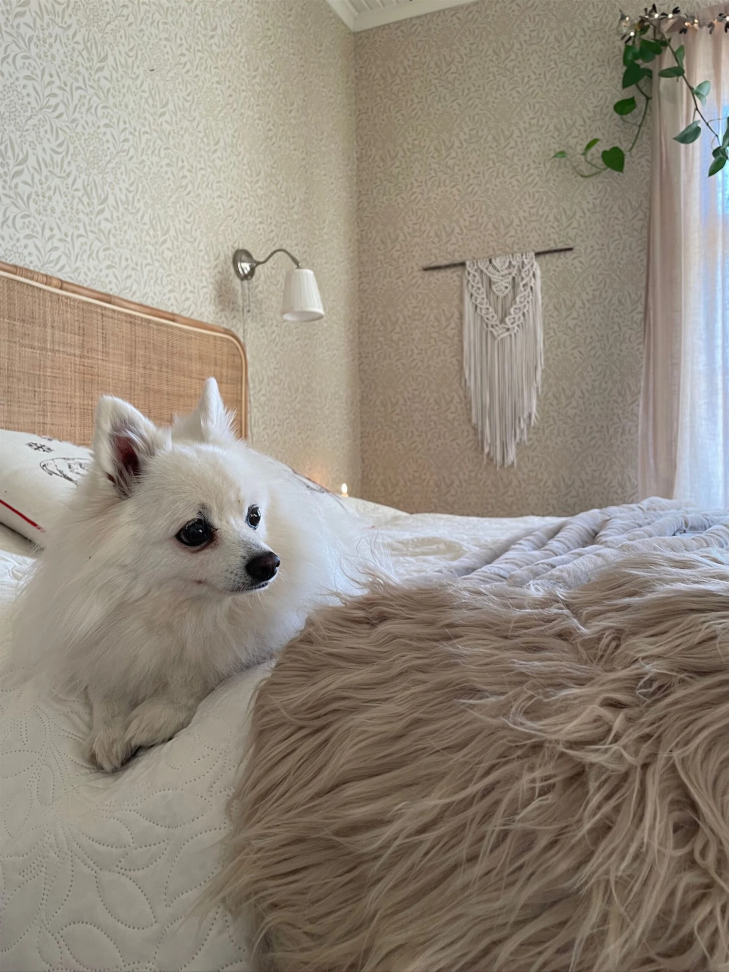 Tekotalja Beige MUNGO 10 Tekotalja Beige MUNGO - Image 8